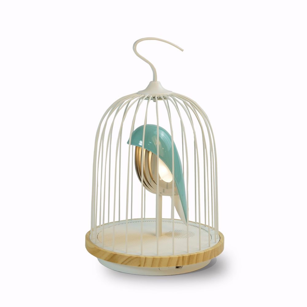 Objets design - DAQICONCEPT JINGOO - L'oiseau Bleu - DAQICONCEPT