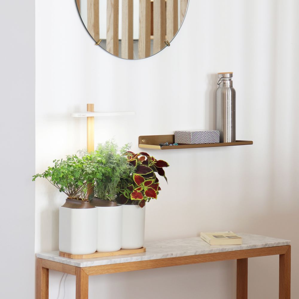 Cadeaux - Potager d'intérieur LILO CONNECT - PRÊT À POUSSER