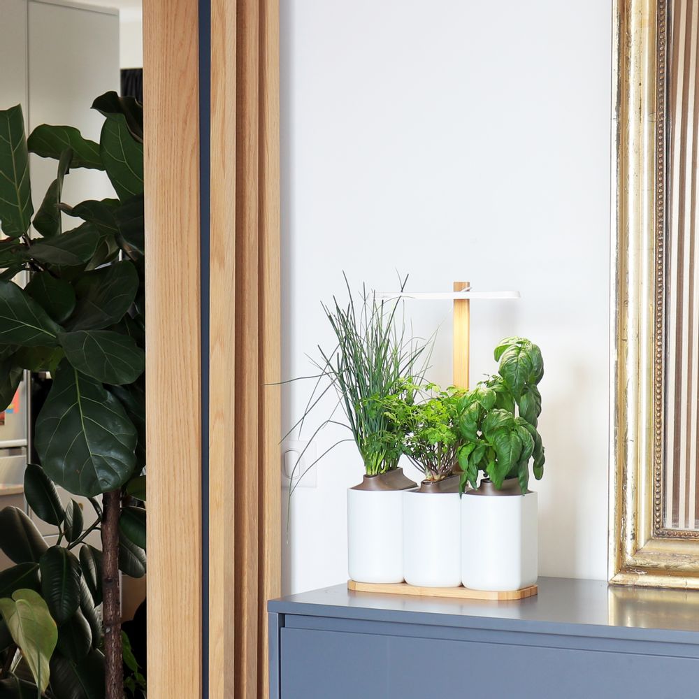Cadeaux - Potager d'intérieur LILO CONNECT - PRÊT À POUSSER