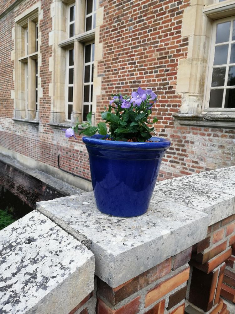 Pots de fleurs - Pot Florentine bleu de Sèvres - MANUFACTURE NORMAND