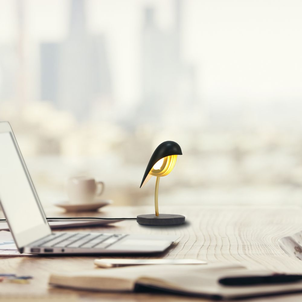 Objets design - DAQICONCEPT BIRD - DAQICONCEPT