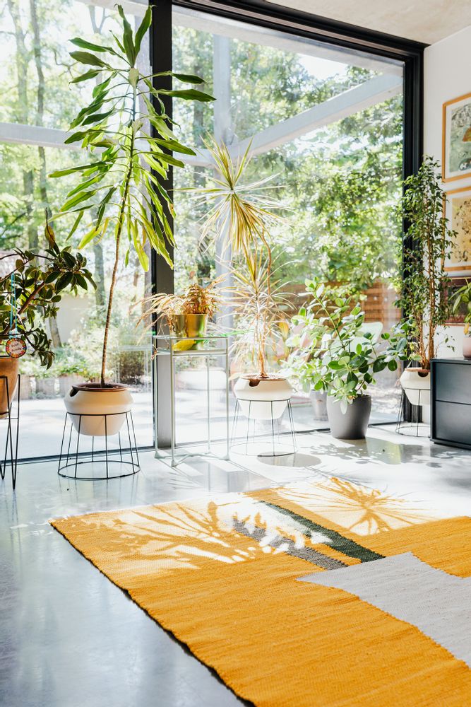 Other wall decoration - VASE large cotton rug - TARTARUGA