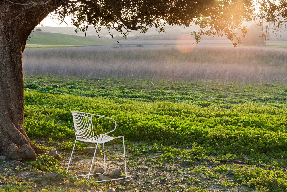 Lawn armchairs - BOLONIA armchair - ISIMAR