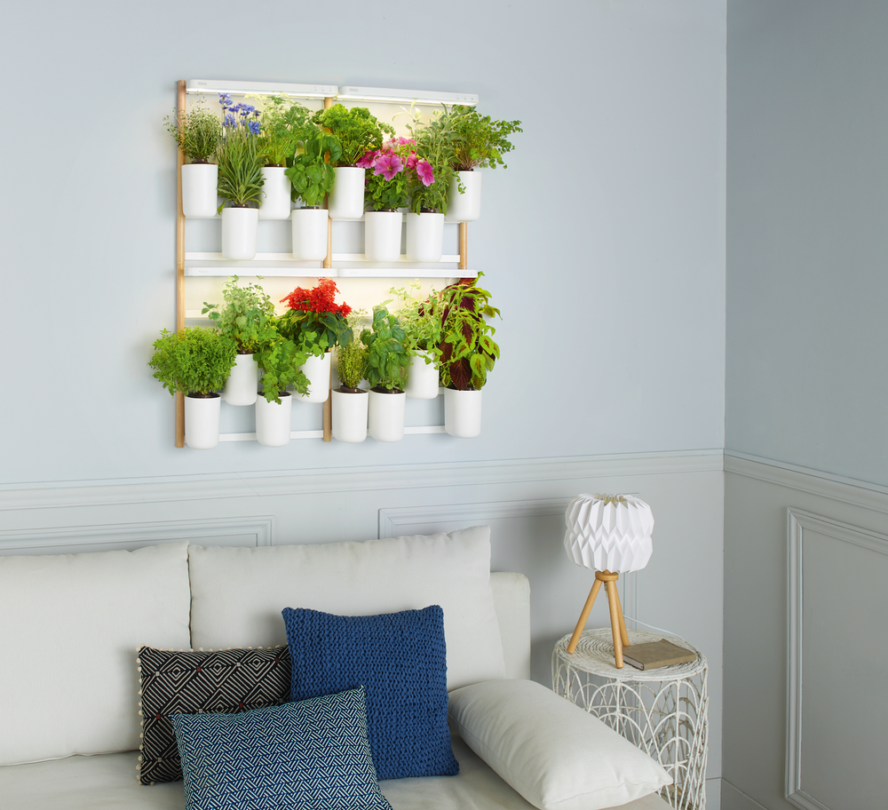 Cadeaux - Potager d'intérieur NOUVEAU MODULO - PRÊT À POUSSER