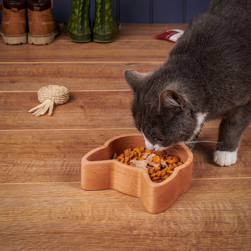 Ustensiles de cuisine - Le bol de nourriture pour chat - THE WOOD LIFE PROJECT