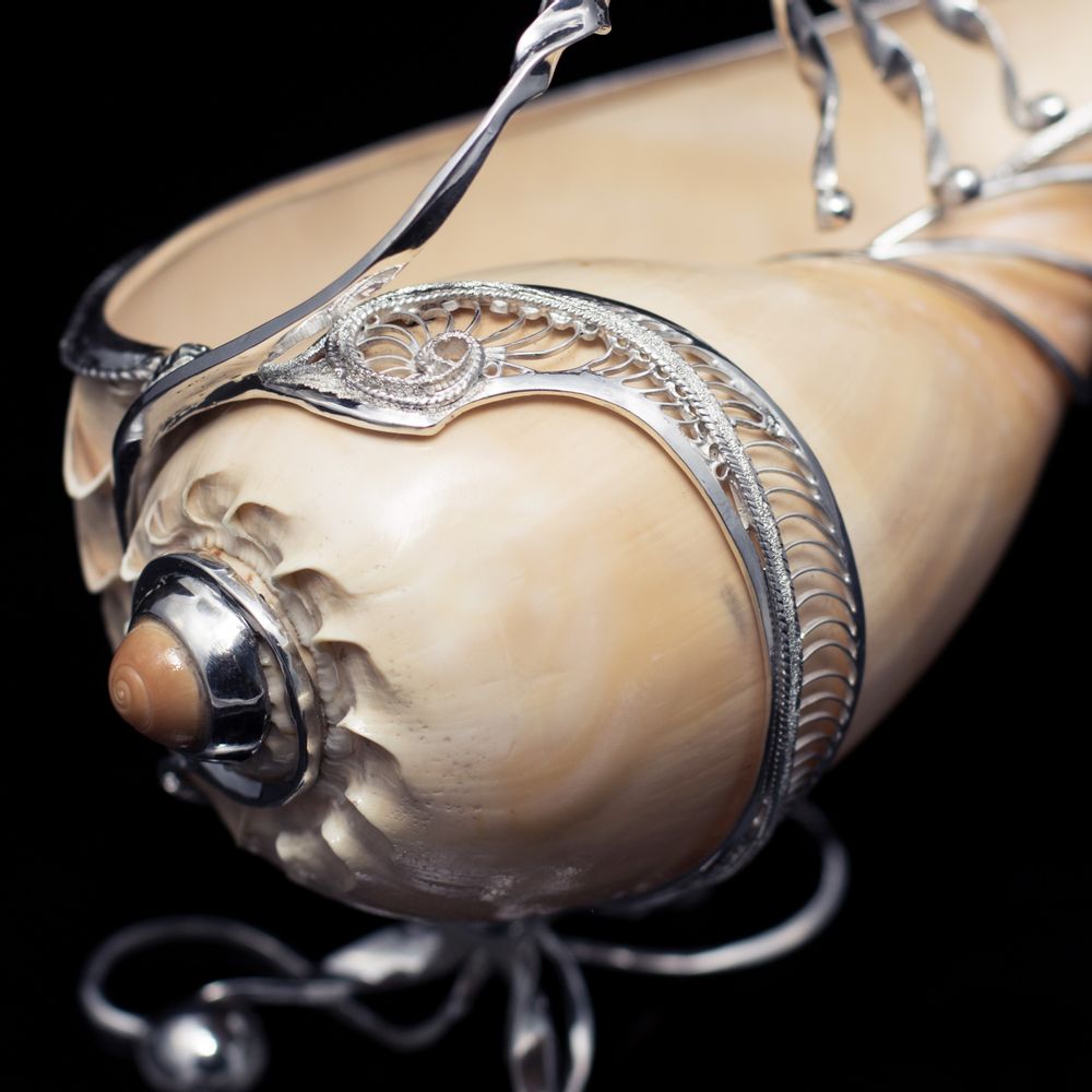 Goldsmithing - Beaujolais Silver Seashell Gravy Boat - ORMAS GROUP