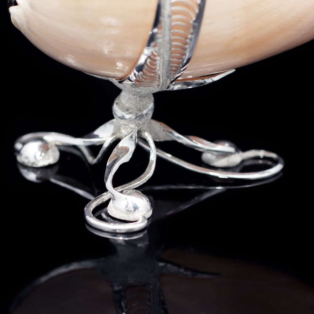 Goldsmithing - Beaujolais Silver Seashell Gravy Boat - ORMAS GROUP