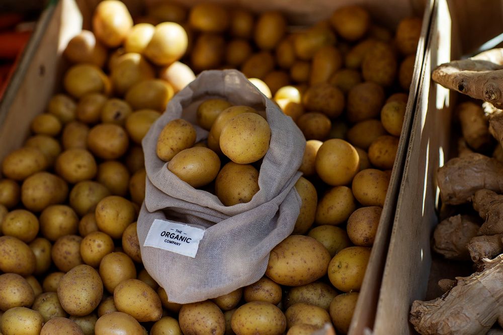 Serviettes de bain - Les réutilisables - THE ORGANIC COMPANY