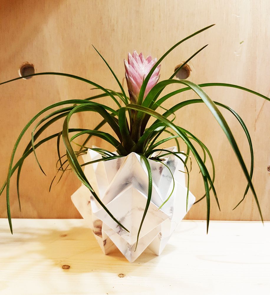 Decorative objects - Origami Tealights Holders - Pakc of 3 - TEDZUKURI ATELIER