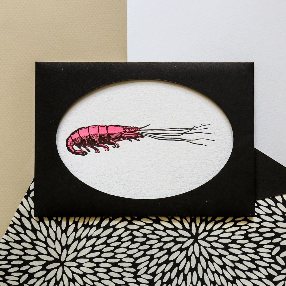 Carterie - Cartes Letterpress - PAPPUS ÉDITIONS