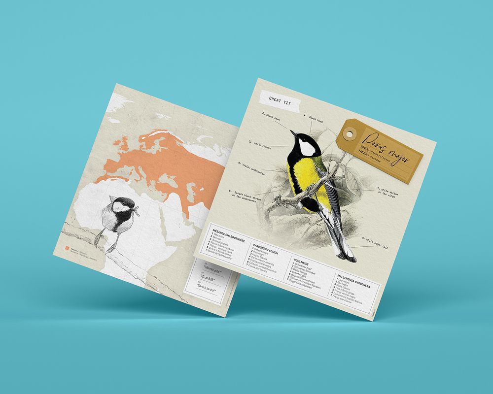 Children's decorative items - Parus Major - PLEGO