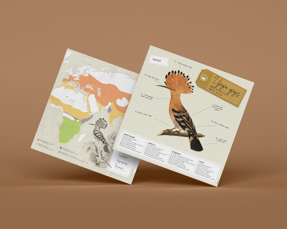 Children's decorative items - Upupa Epops - PLEGO