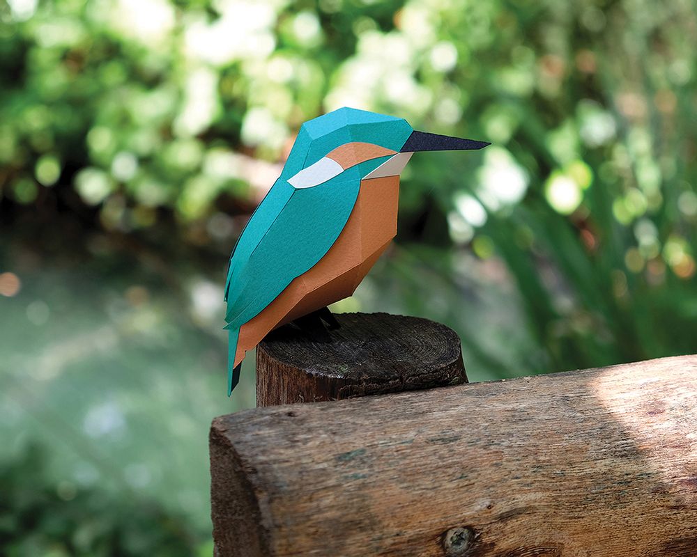 Objets déco enfant - Alcedo Atthis - PLEGO