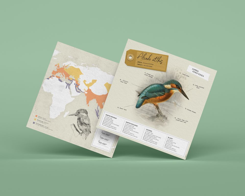 Objets déco enfant - Alcedo Atthis - PLEGO