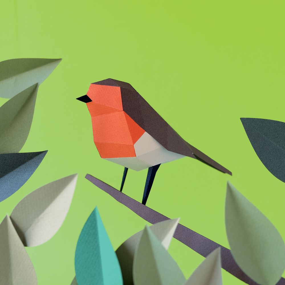 Loisirs créatifs pour enfant - Erithacus Rubecula - PLEGO