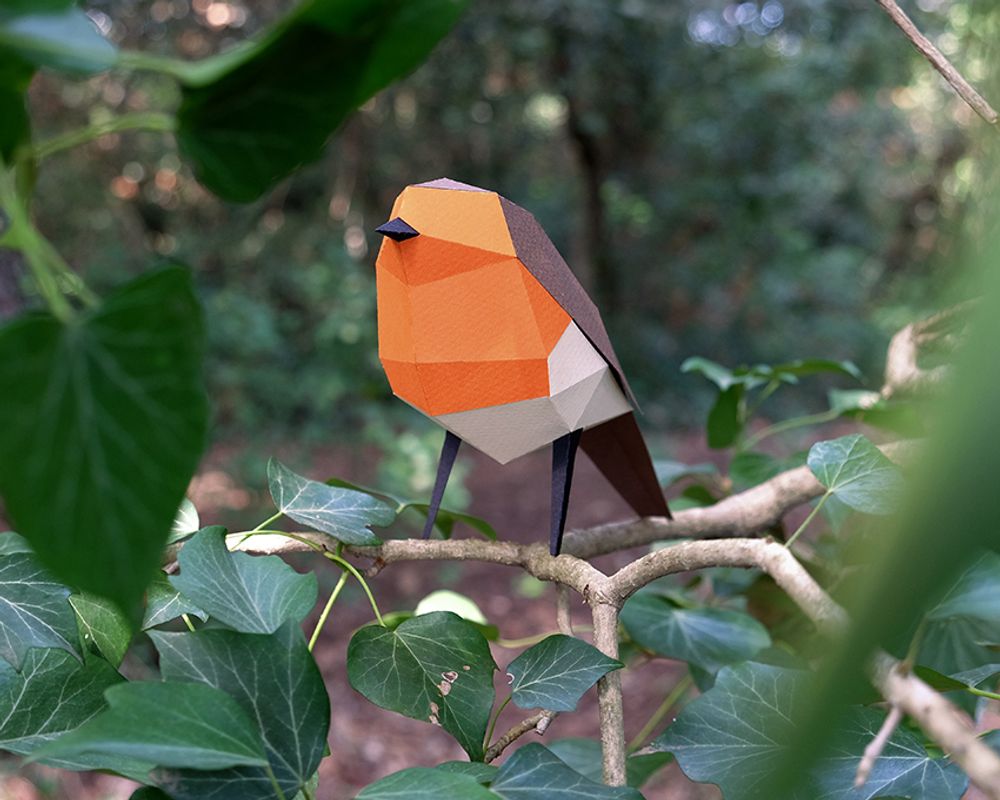 Loisirs créatifs pour enfant - Erithacus Rubecula - PLEGO