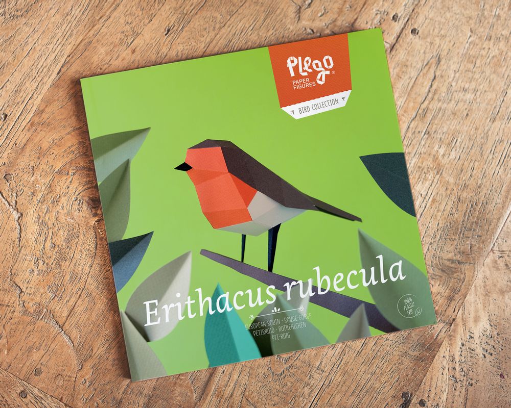 Loisirs créatifs pour enfant - Erithacus Rubecula - PLEGO