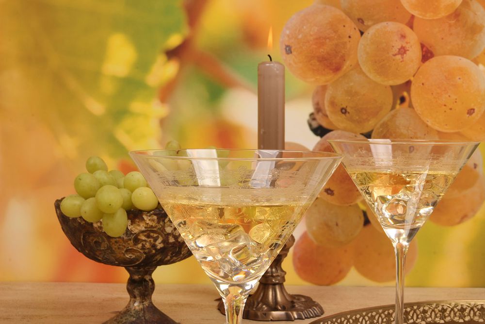 Verres - Verre Martini 210 ml - DUTCH STYLE BY BAROQUE COLLECTION
