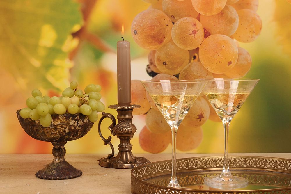 Verres - Verre Martini 210 ml - DUTCH STYLE BY BAROQUE COLLECTION