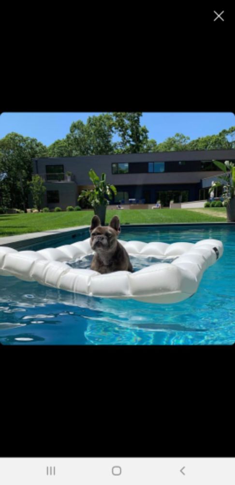 Lounge chairs - The Water Hammock - PIGRO FELICE