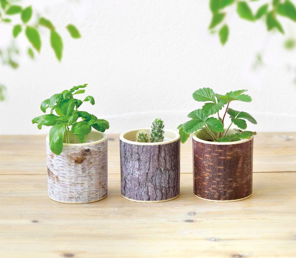 Gifts - Stump Garden - NOTED