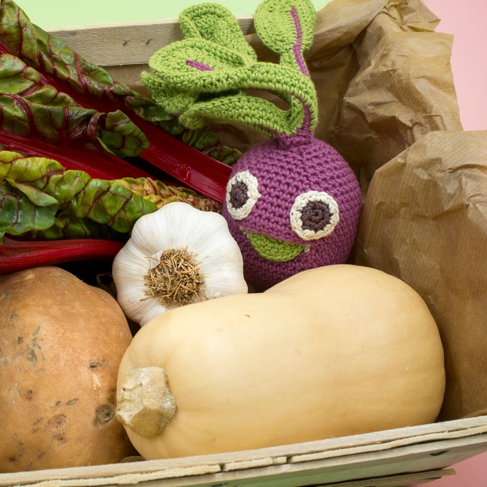 Toys - BETTY BEETROOT - BABY RATTLE 100% ORGANIC COTON - MYUM - THE VEGGY TOYS