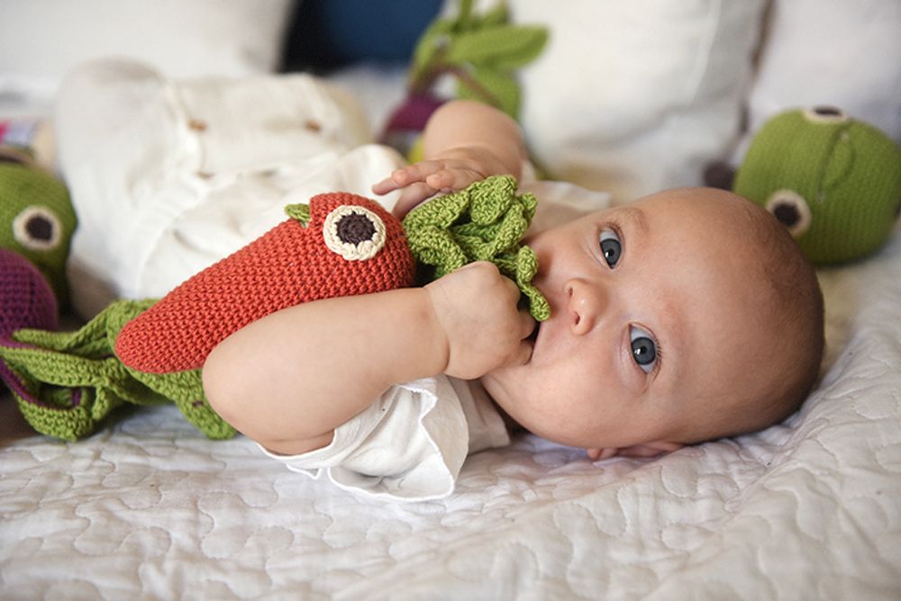 Cadeaux - CHARLOTTE LA CAROTTE - HOCHET POUR BÉBÉ EN COTON BIO - MYUM - THE VEGGY TOYS