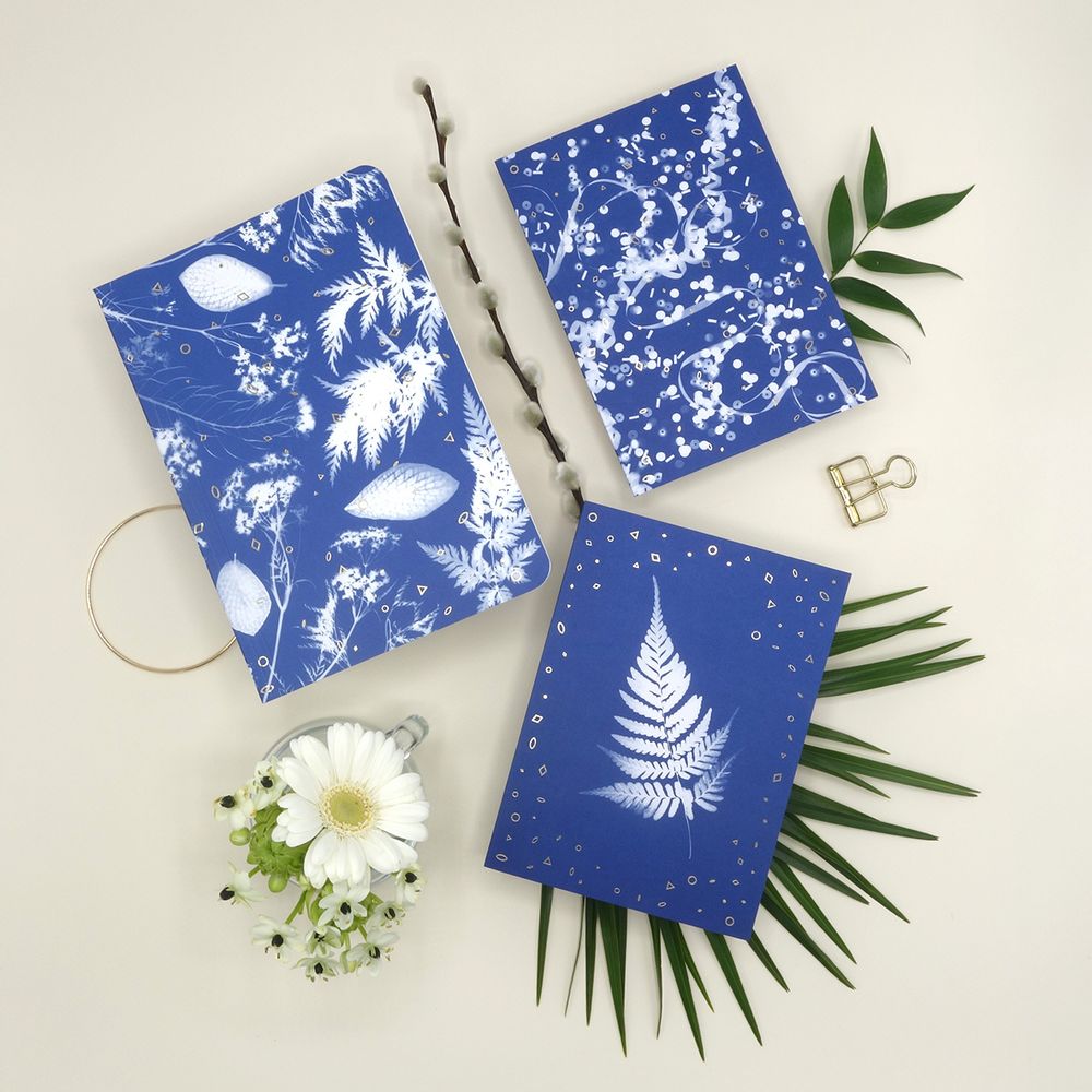 Papeterie - Carnet de notes - Nature Walk 1 - PAR