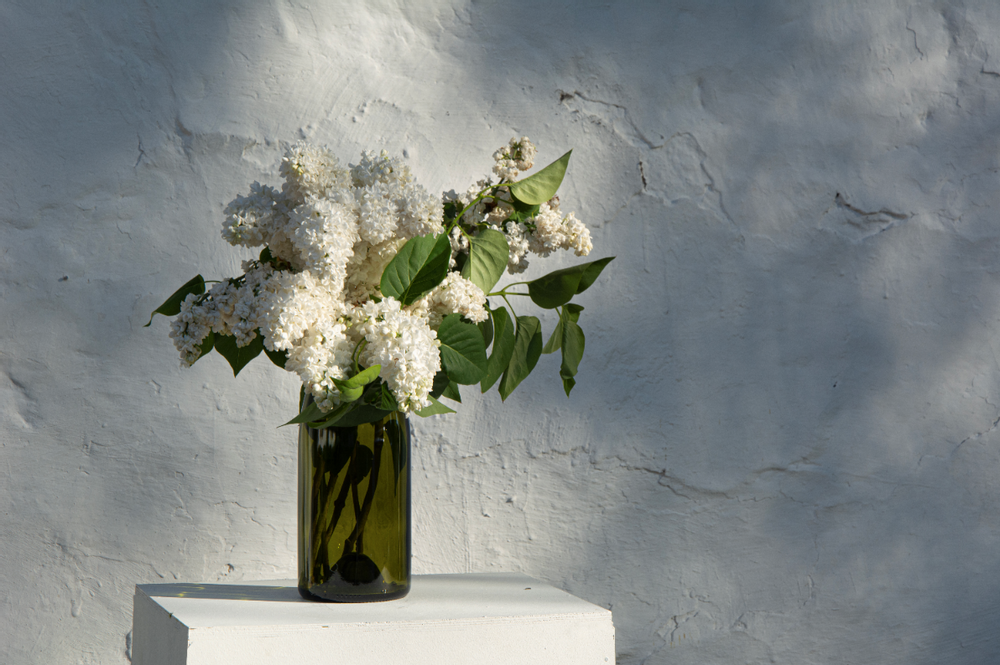 Vases - VASE Q DE BOUTEILLES - Q DE BOUTEILLES