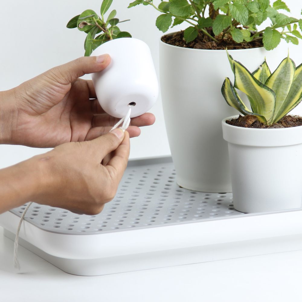 Mobilier et rangements pour bureau - Micro serre : pot de plantes auto-arrosage pour jardin intérieur et extérieur - QUALY DESIGN OFFICIAL