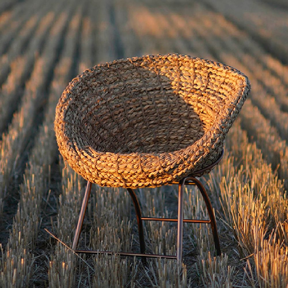 Fauteuils pour collectivités - WATER WEED : jacinthe d'eau - SUMPHAT