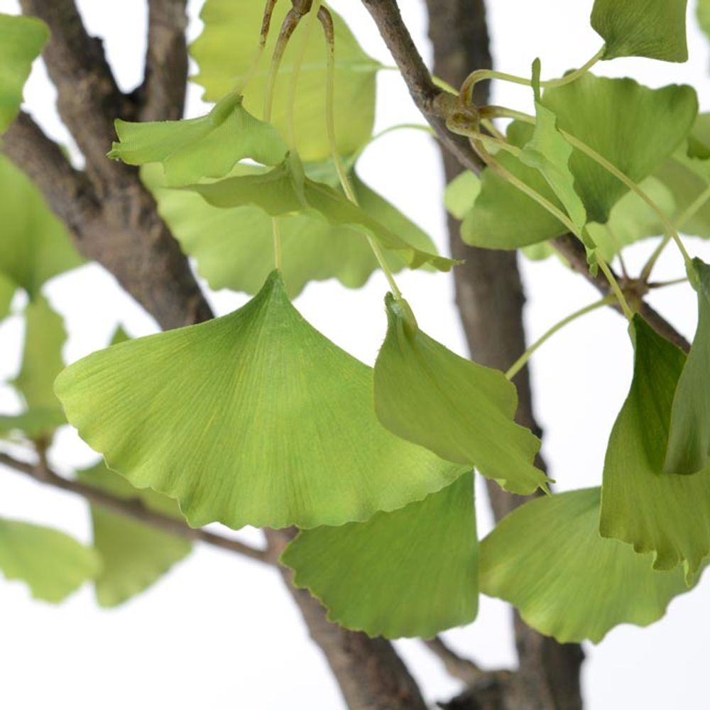 Floral decoration - floral decoration GINKO - LOU DE CASTELLANE