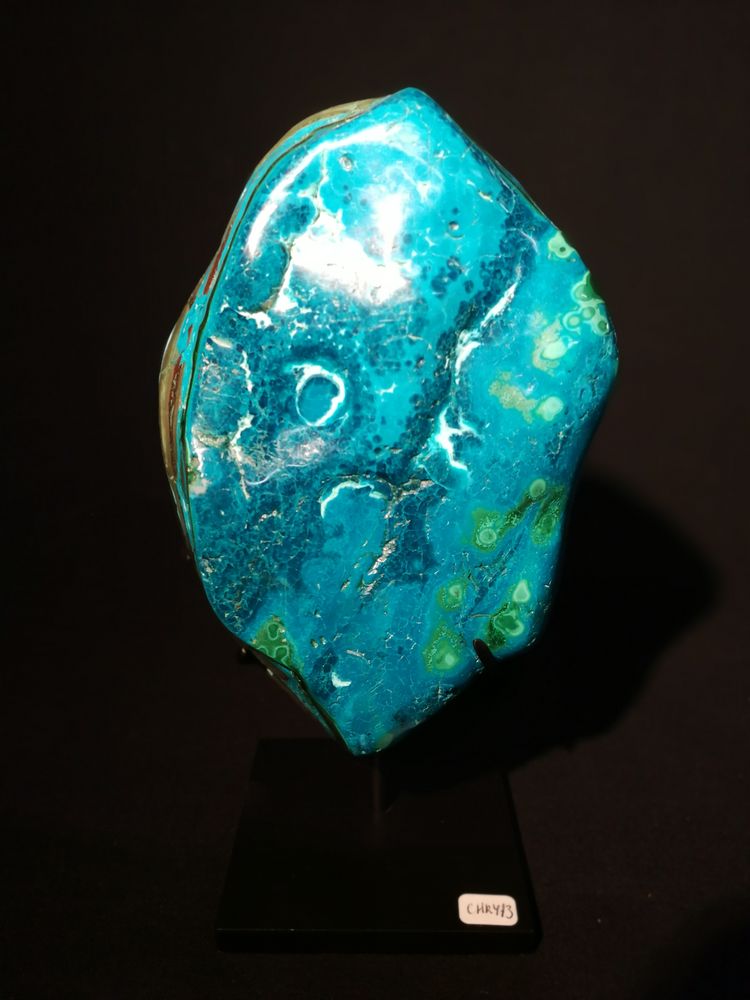 Decorative objects - Chrysocale - METAMORPHOSES