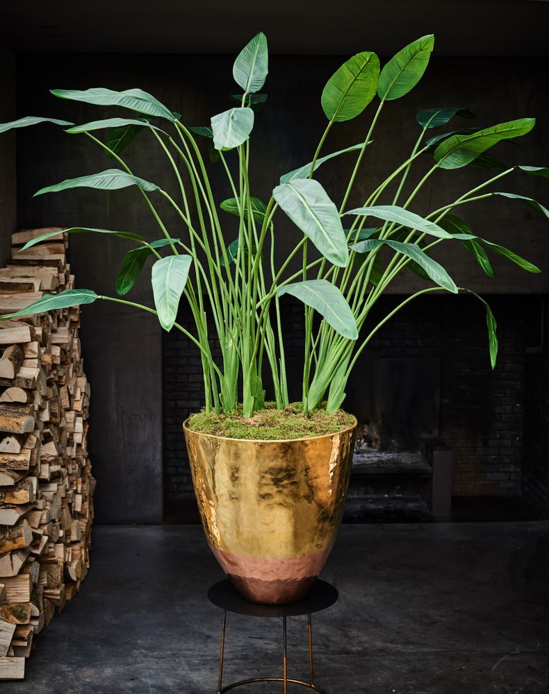 Décorations florales - Strelizia plant - Silk-ka Artificial flowers and plants for life! - SILK-KA