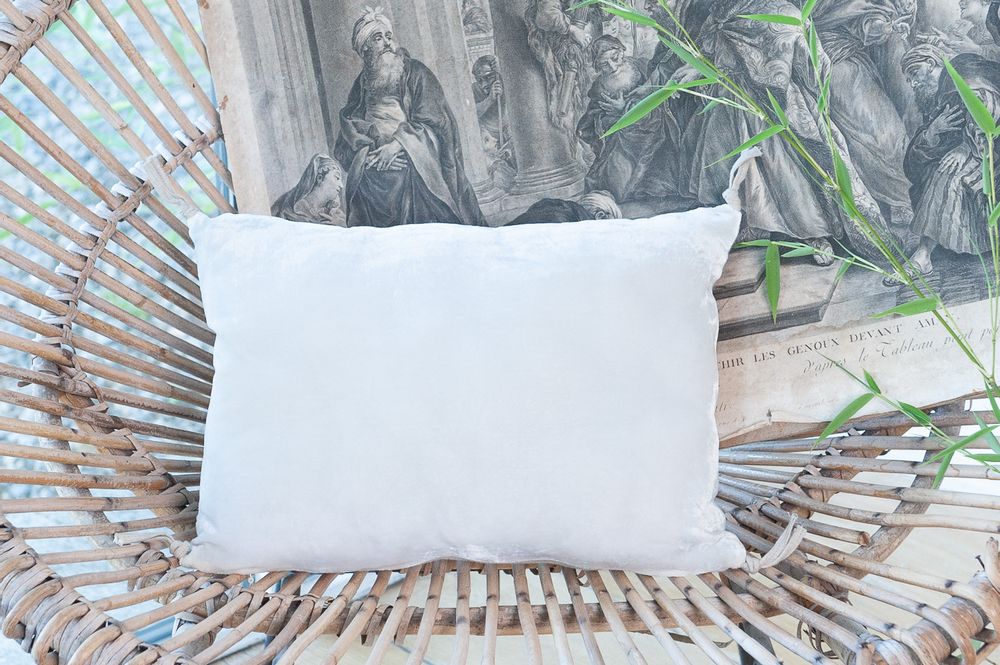 Coussins textile - FORTUNA 2 housses de Coussins en velours de soie et lin 25x35 cm - EN FIL D'INDIENNE...