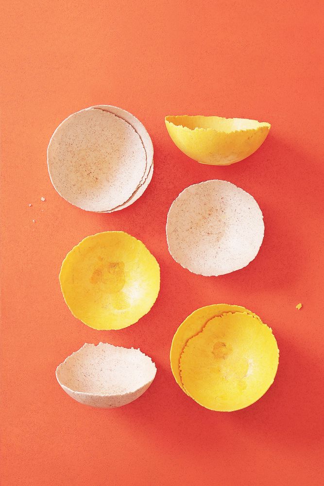 Bols - Bols comestibles, compostables et biodégradables goût neutre - SWITCH EAT