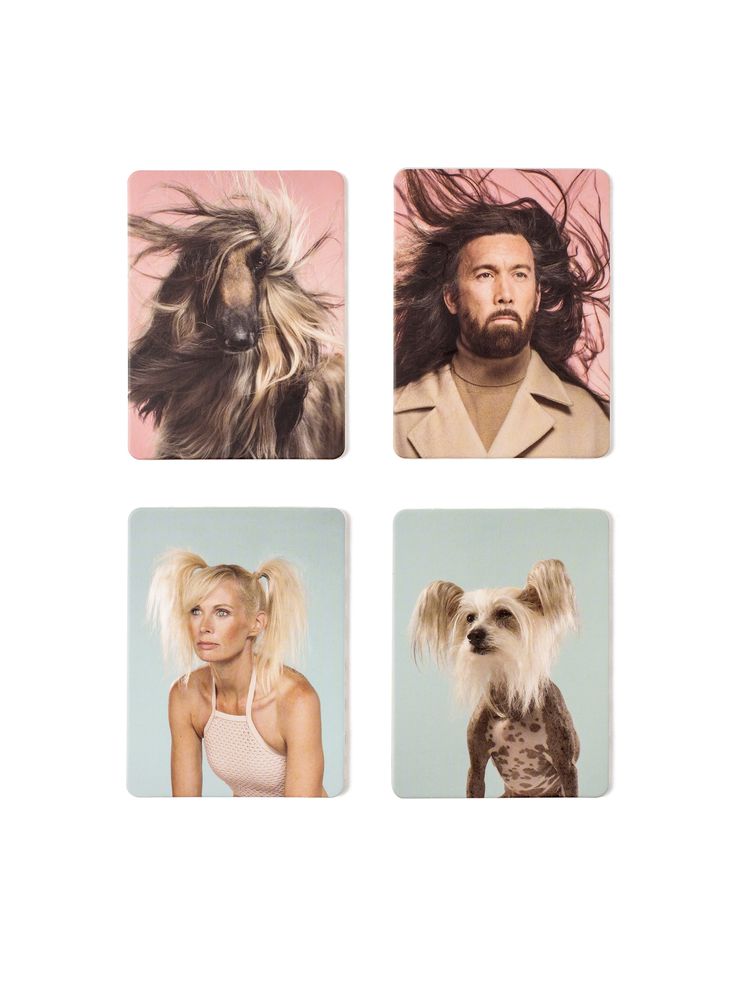 Gifts - Do You Look Like Your Dog? Match Dogs with Their Humans: A Memory Game - LAURENCE KING PUBLISHING LTD.