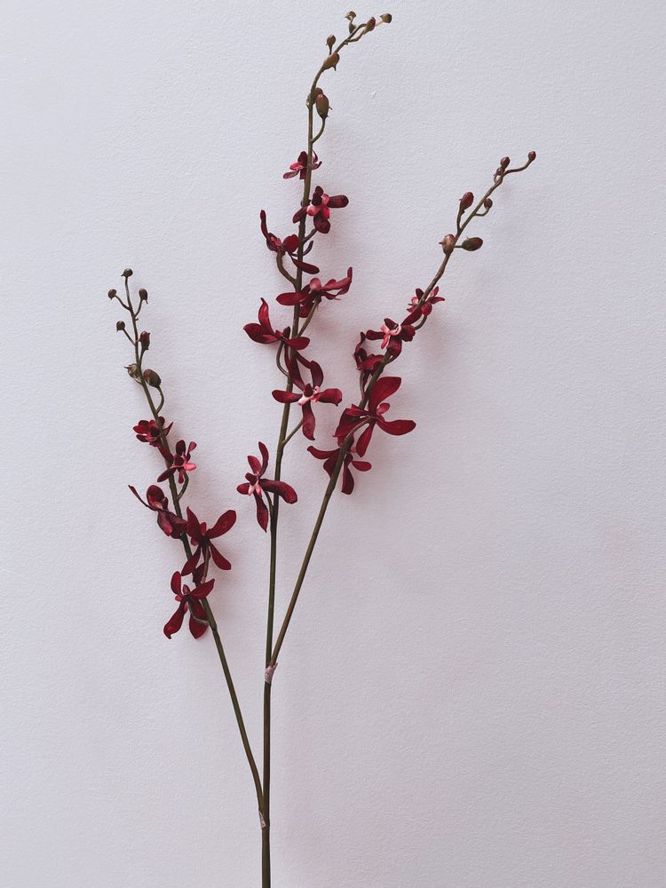 Décorations florales - FLOWERS - SO SKIN - IDASY