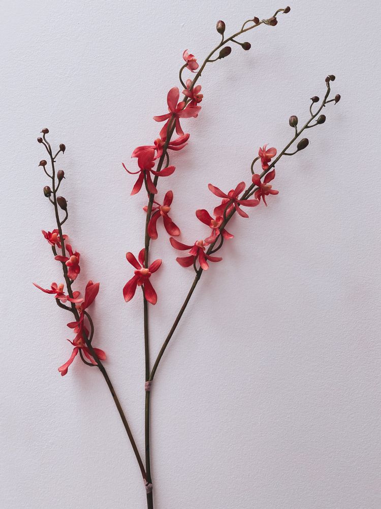 Décorations florales - FLOWERS - SO SKIN - IDASY