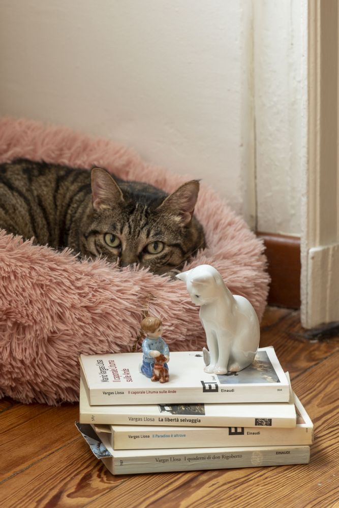 Sculptures, statuettes and miniatures - White cat sitting - ROYAL COPENHAGEN