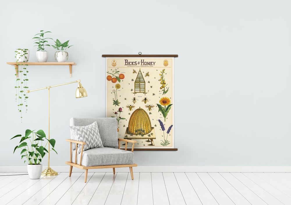 Papeterie bureau - Vintage school chart Cavallini - CAVALLINI PAPER & CO.