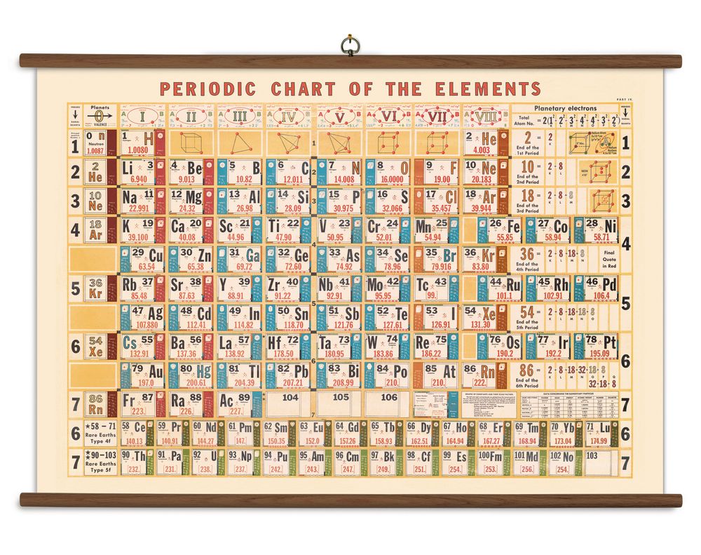 Papeterie bureau - Vintage school chart Cavallini - CAVALLINI PAPER & CO.