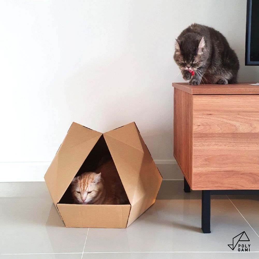 Accessoires animaux - дом ( dom ) eco Series - POLYGAMI