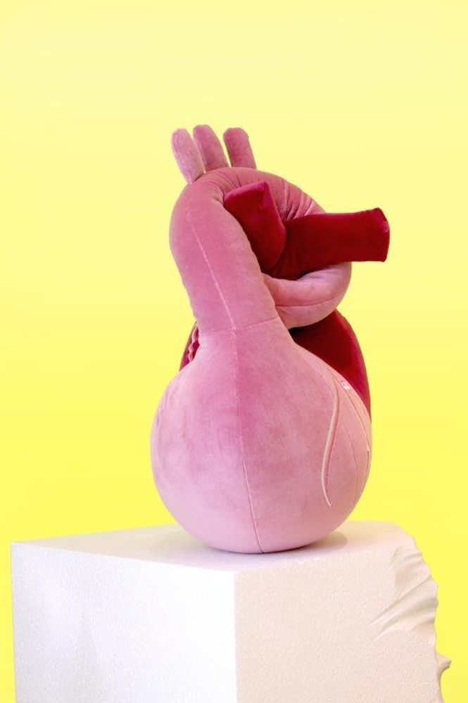 Coussins textile - Traversin Coeur - AUFSCHNITT
