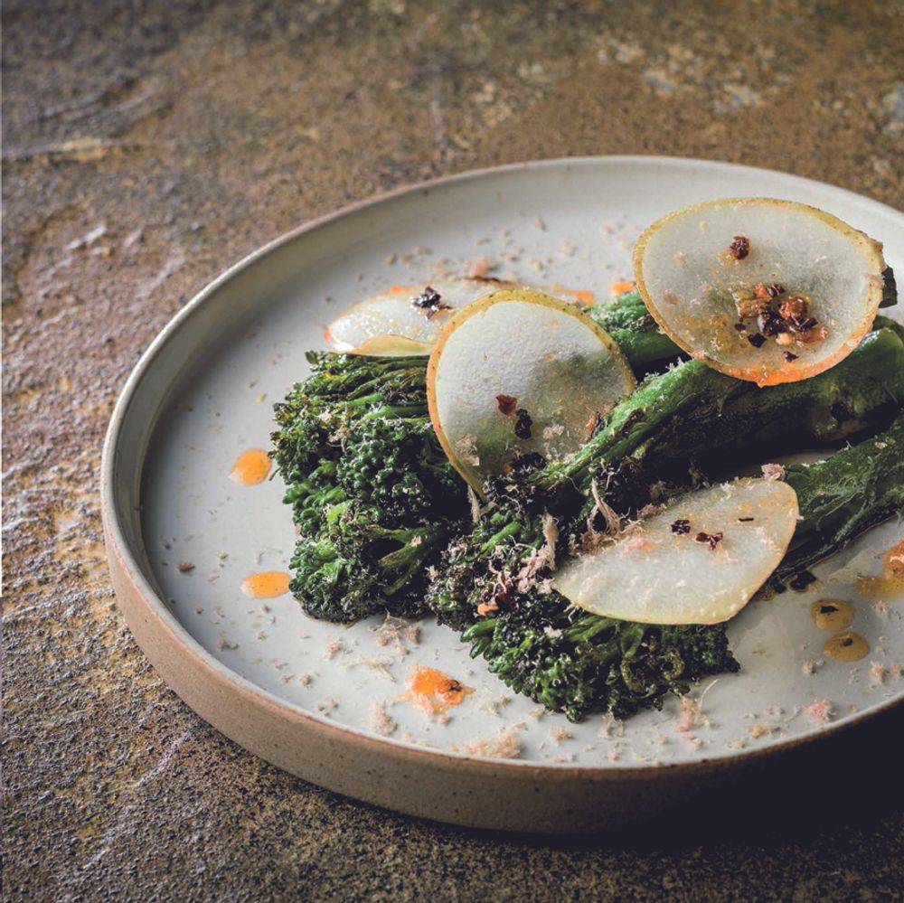 Everyday plates - Basic and Hemisphere collections - LES GUIMARDS