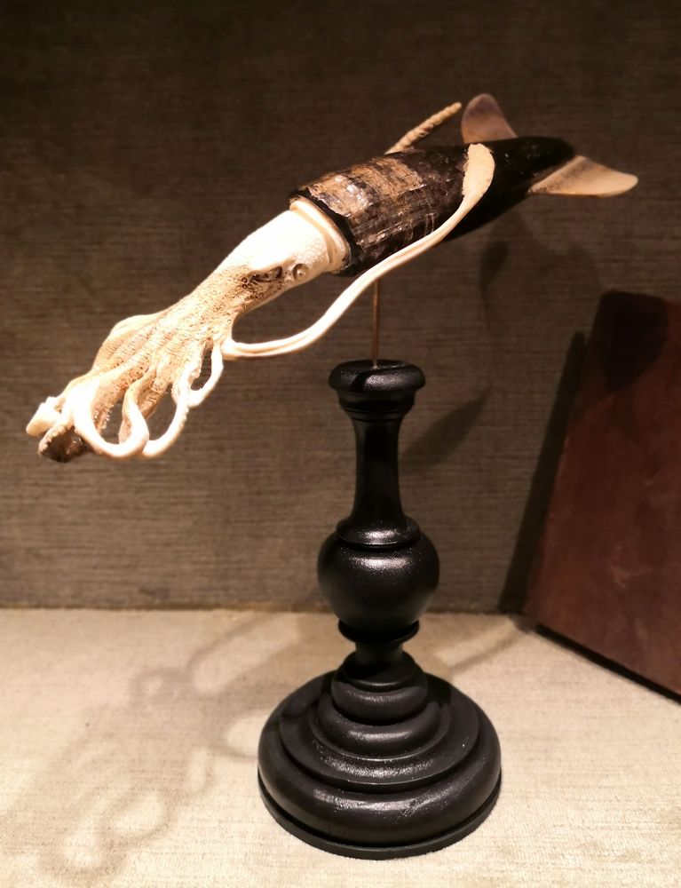 Pièces uniques - OBJETS DE CURIOSITE - AN ATOLL