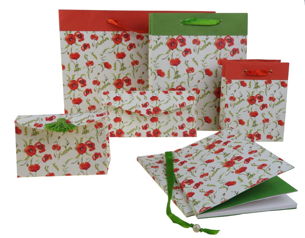 Papeterie - Carnets, livre d'or, sacs, enveloppes, motifs colorés - SUPPLEMENT D'AM / PAPETERIE EPIGRAM