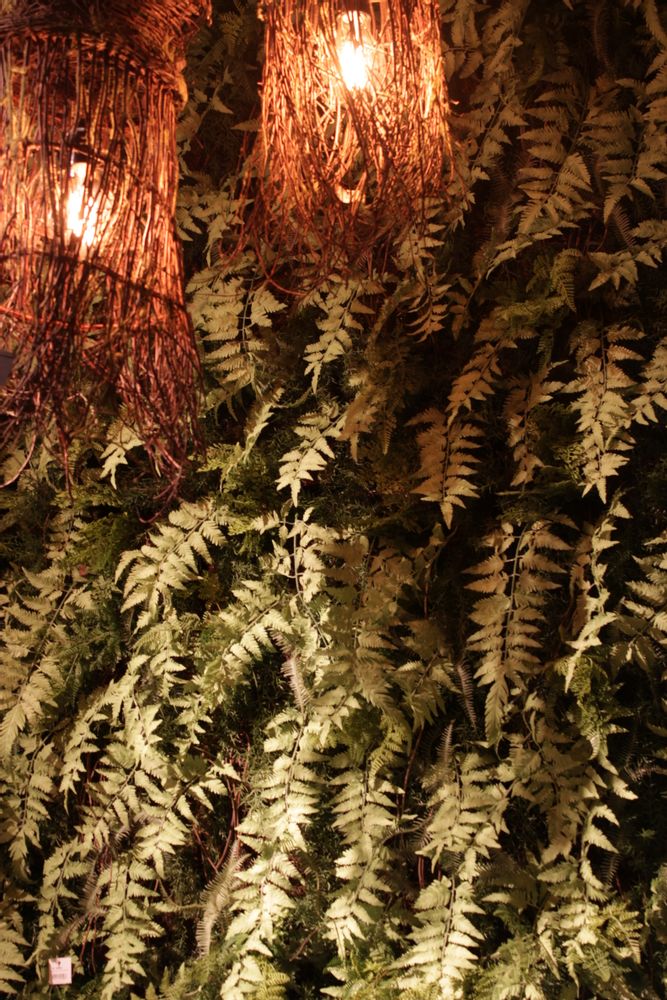 Other wall decoration - Artificial Green Walls - VRANCKX - NATURE INSPIRED