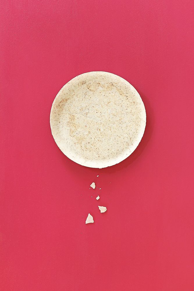 Delicatessen - EDIBLE PLATES - 12 pieces - SWITCH EAT