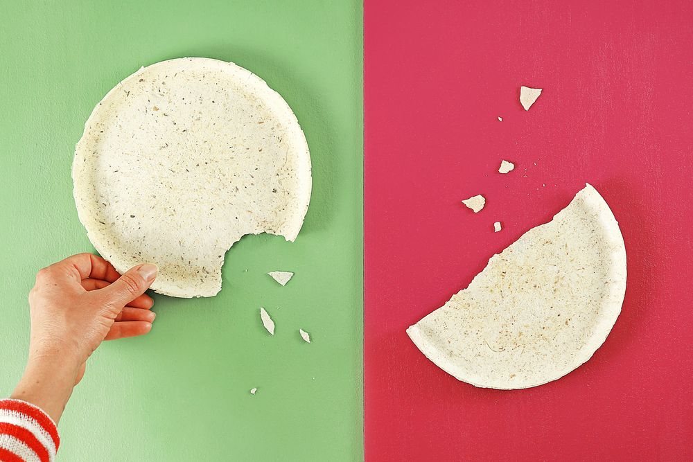 Delicatessen - EDIBLE PLATES - 12 pieces - SWITCH EAT